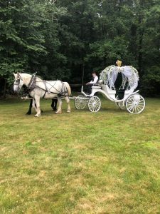 side view of cinderella carriage 3