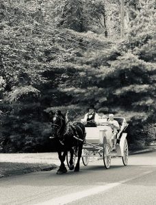 carriage ride B&W