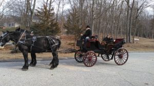 Black and red carriage 1