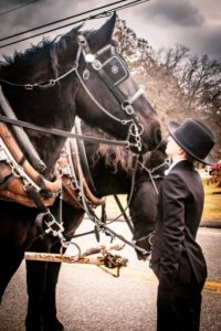 Jay and black horse