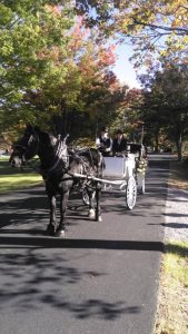 balck horse white carriage