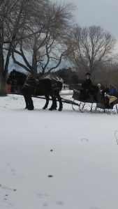 sleigh ride on green 2