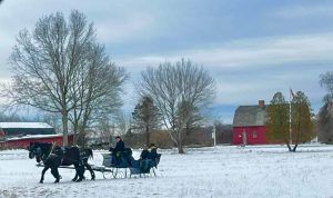 sleigh ride on green