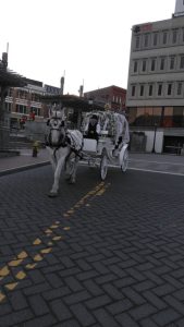 white carriage inthe city